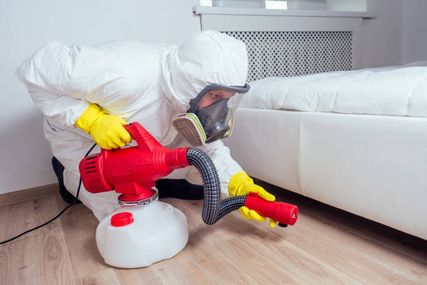 Trusted Port Allegany, PA Pest Control Experts