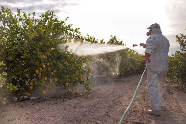 Best Emergency Pest Control  in Port Allegany, PA