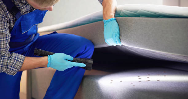 Best Flea Control Services  in Port Allegany, PA
