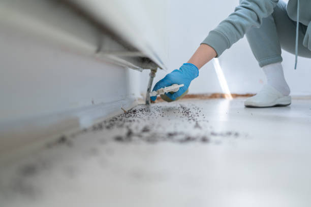 Best Pest Prevention Services  in Port Allegany, PA